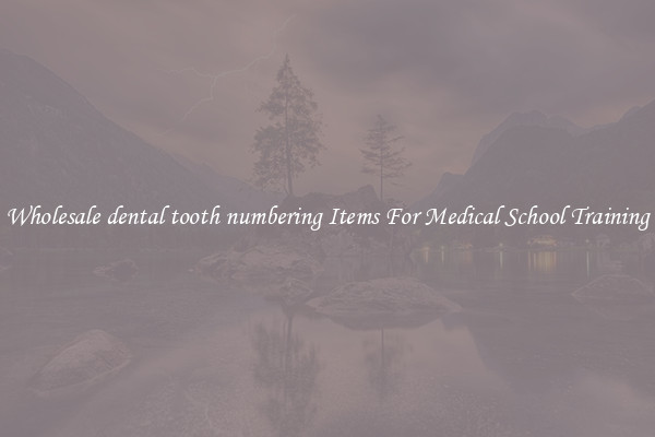Wholesale dental tooth numbering Items For Medical School Training