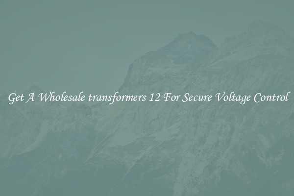 Get A Wholesale transformers 12 For Secure Voltage Control