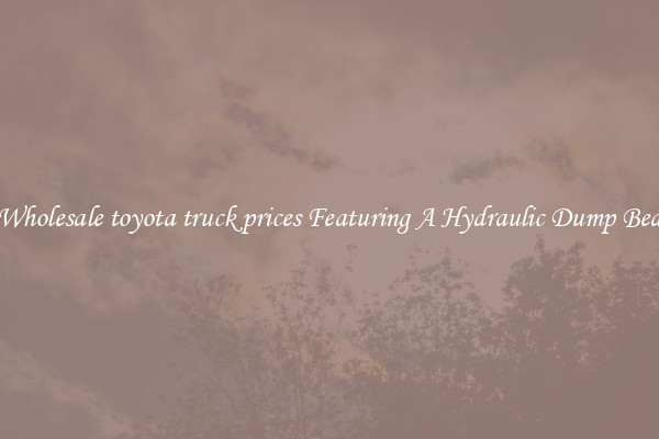 Wholesale toyota truck prices Featuring A Hydraulic Dump Bed