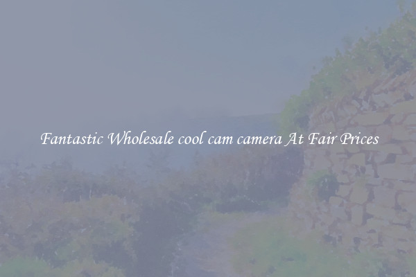 Fantastic Wholesale cool cam camera At Fair Prices