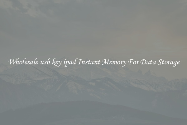 Wholesale usb key ipad Instant Memory For Data Storage