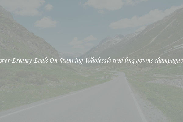 Discover Dreamy Deals On Stunning Wholesale wedding gowns champagne color