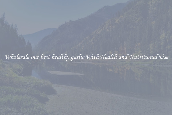 Wholesale our best healthy garlic With Health and Nutritional Use