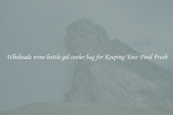 Wholesale wine bottle gel cooler bag for Keeping Your Food Fresh
