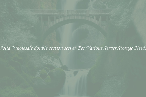 Solid Wholesale double section server For Various Server Storage Needs