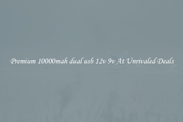 Premium 10000mah dual usb 12v 9v At Unrivaled Deals