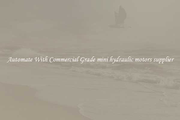 Automate With Commercial Grade mini hydraulic motors supplier