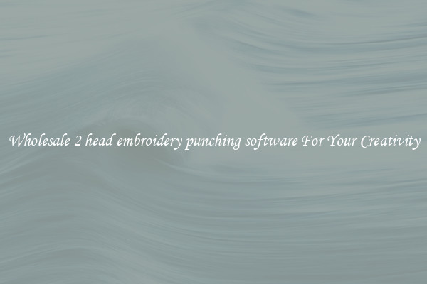 Wholesale 2 head embroidery punching software For Your Creativity