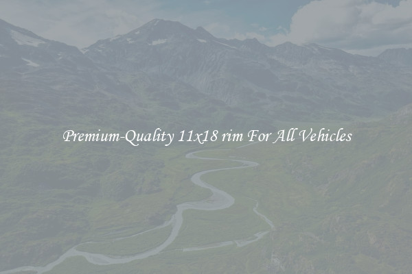 Premium-Quality 11x18 rim For All Vehicles