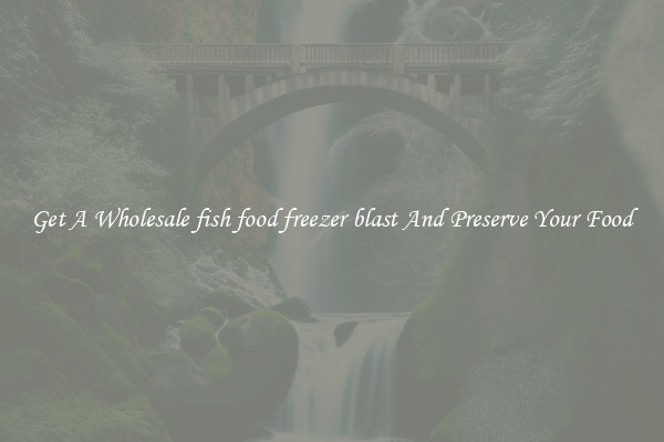 Get A Wholesale fish food freezer blast And Preserve Your Food